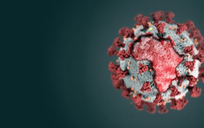 Legal pointers for Mozambique SMEs