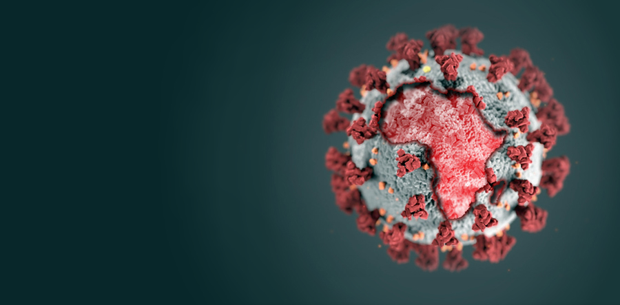 Legal pointers for Mozambique SMEs