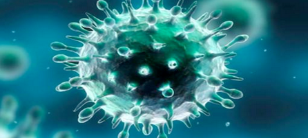 Portugal - Coronavírus e o Processo Especial de Revitalização de Empresas